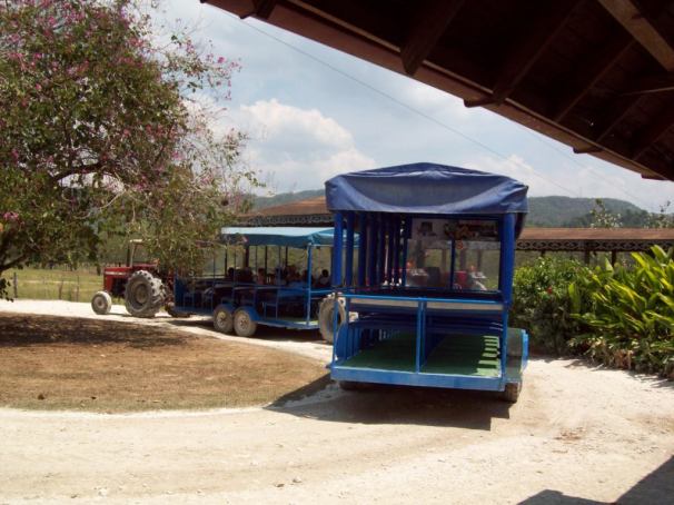 YS Falls - Scenic Tractor Ride 