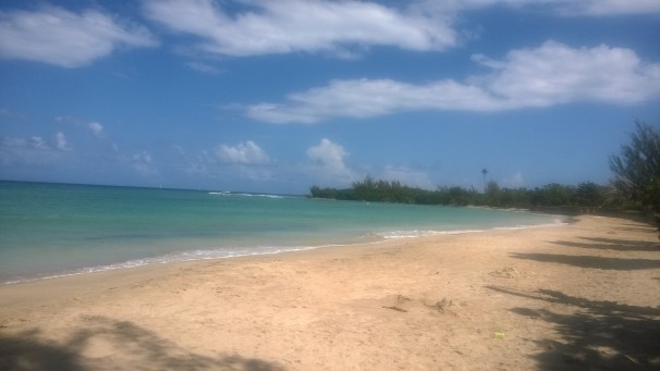 Flavours Beach Jamaica