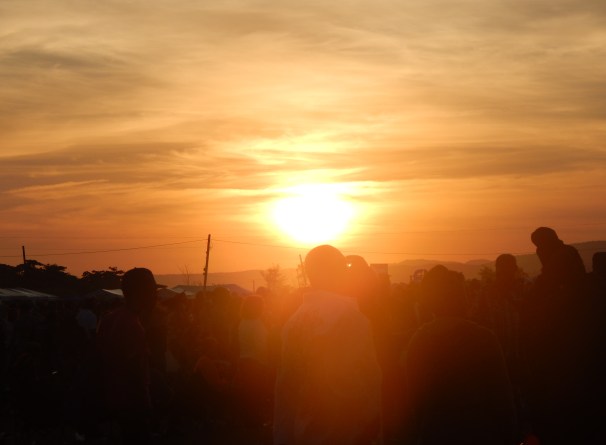 WPC Cherry On Top, Jamaican Sunrise, 