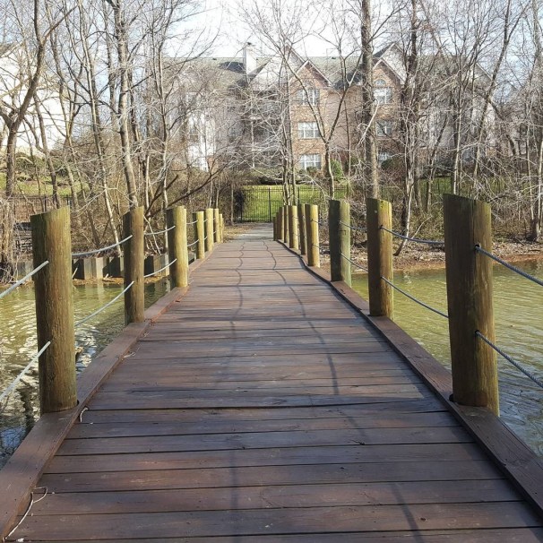 Cee's Which Way Challenge, Weekly Photo Challenge,