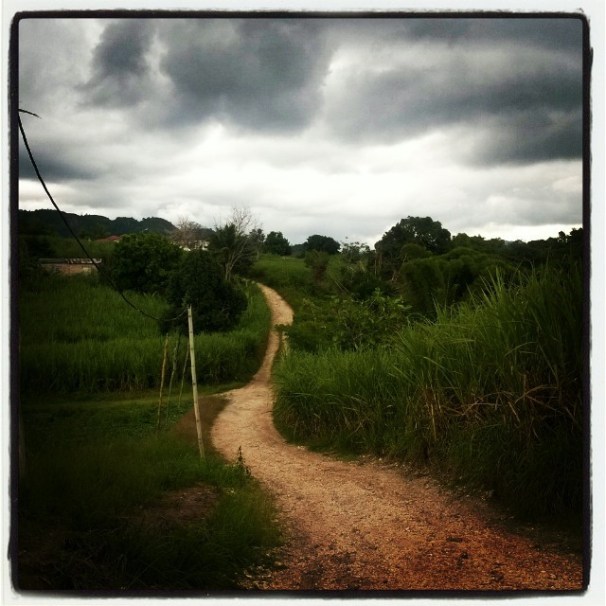 Cee's Which Way Challenge, Weekly Photo Challenge,