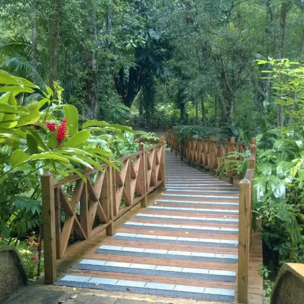 Cee's Which Way Challenge, Weekly Photo Challenge,