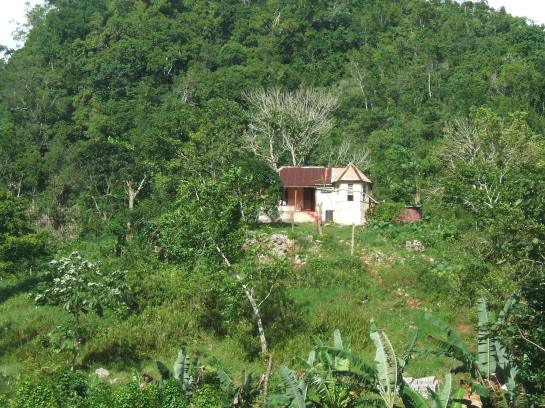 The Country, Poetry, Renegade Expressions,