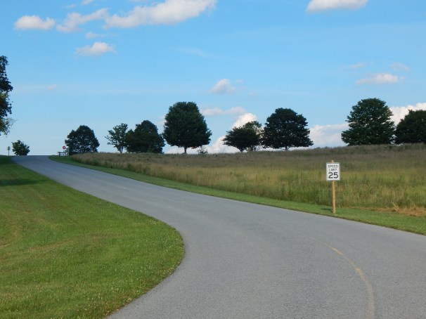 Cee's Which Way Challenge, Weekly Photo Challenge,