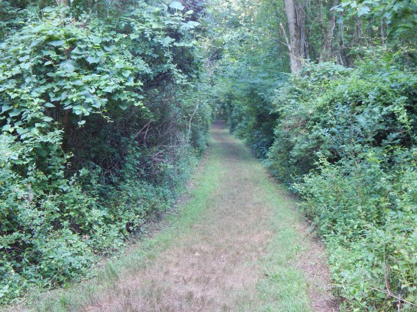 Cee's Which Way Challenge, Weekly Photo Challenge,