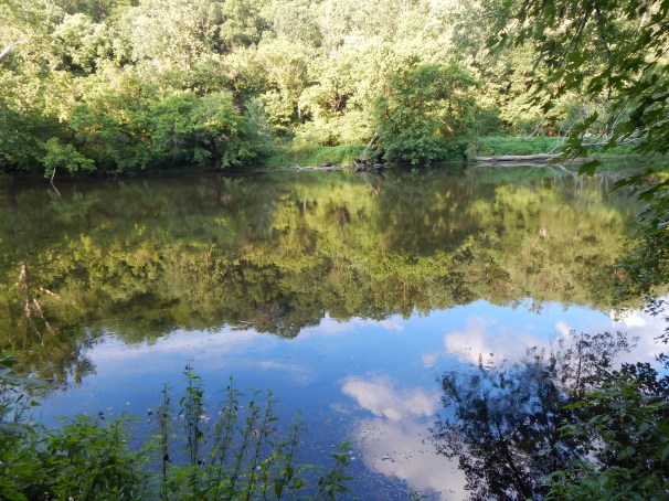 Reflections, renegade expressions, renegadeexpressions.com