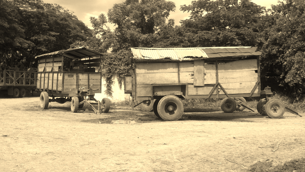 Cee's Black and White Photo Challenge