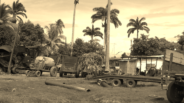 Cee's Black and White Photo Challenge