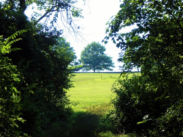 Brandywine Creek State Park Frame