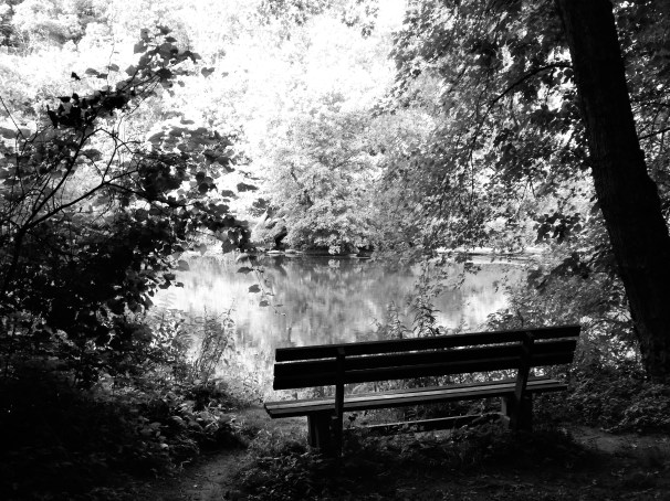 Pond Bench