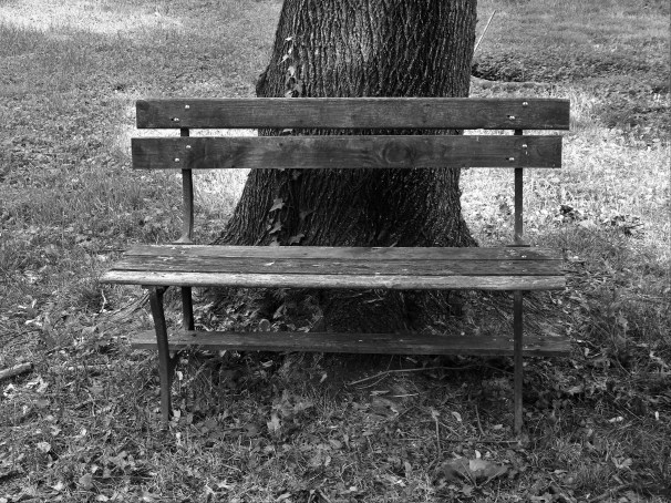 Lonely Bench