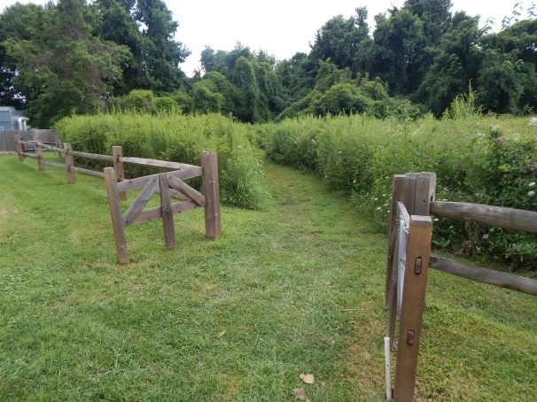 Butterfly Trail Path