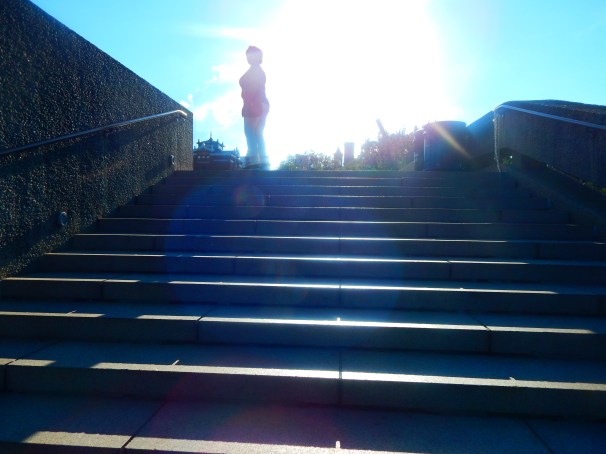 Hirshhorn Museum Sculpture Garden Step