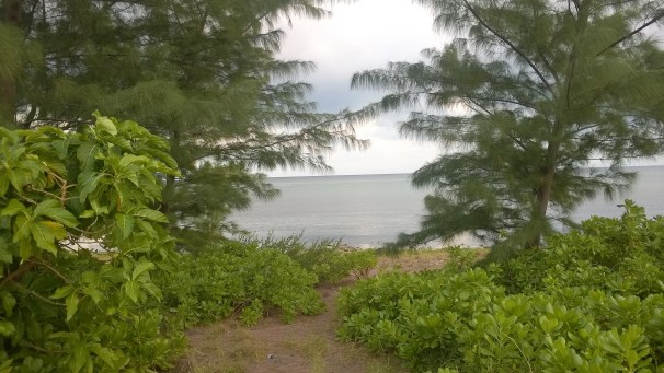 East End Cayman Frame