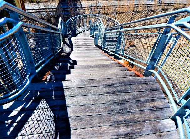 Dupont Environmental Education Center Staircase