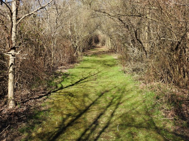 Supawna Meadows National Wildlife Refuge Trail