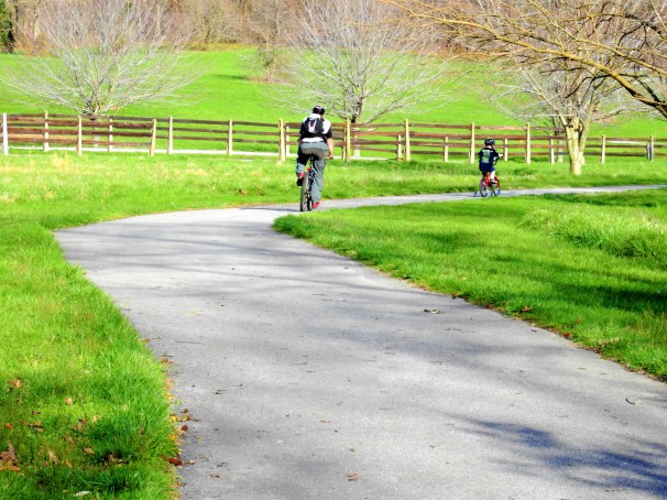 Father and Son riding bikes.