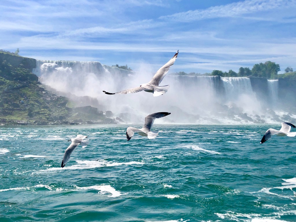 American Falls - Niagara Falls - Seagulls