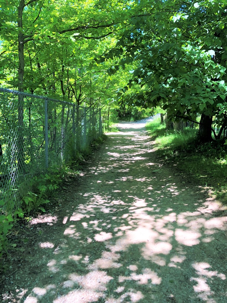 Bruce Trail - Heading to Decew Falls