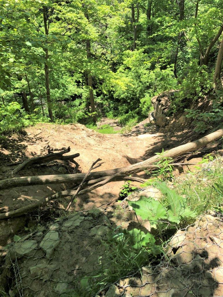 One of the many dangerous shortcuts made to get to Decew Falls.